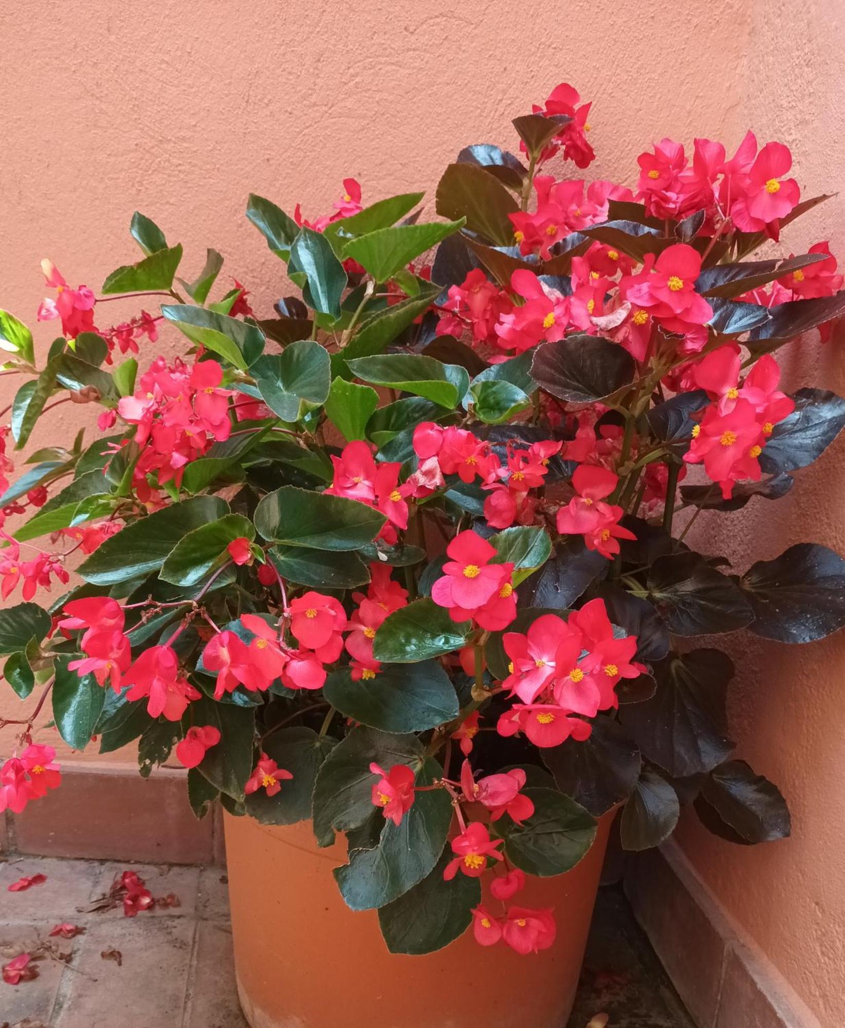 B&B Mar Y Montana Privado No Cocina Orrius מראה חיצוני תמונה